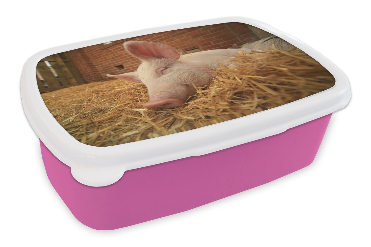 MuchoWow Lunchbox Schwein - Stroh Kunststoff, Erwachsene, - Brotbox rosa Mädchen, Kinder, Snackbox, für (2-tlg), Tier, Kunststoff Brotdose