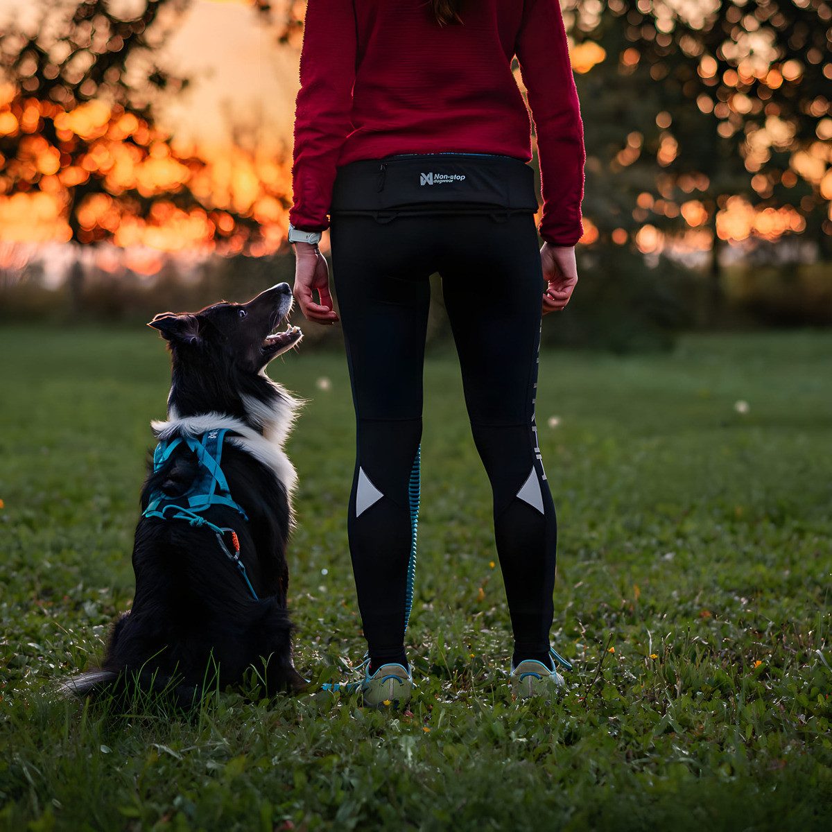 Non-stop dogwear Hunde-Geschirr Geschirr Rush Harness teal