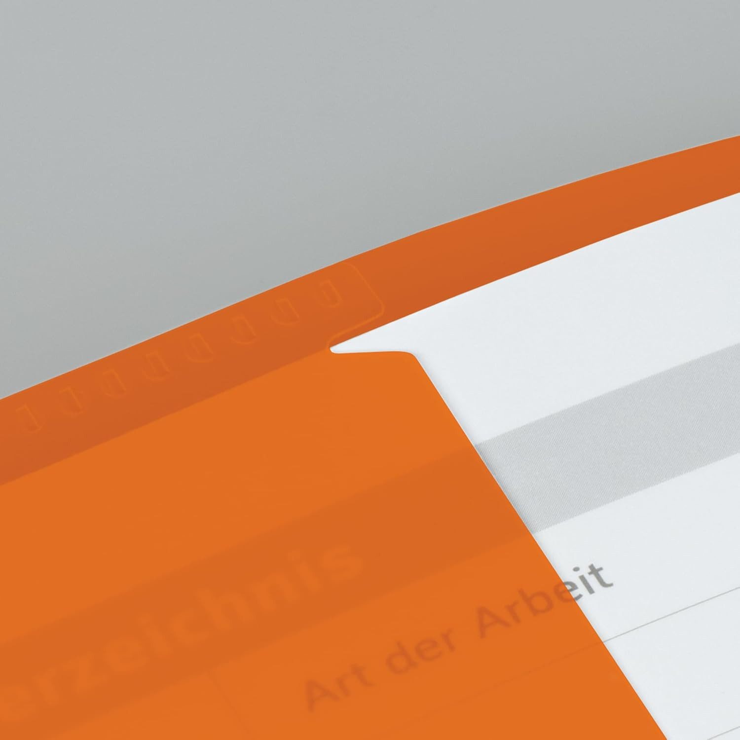 BRUNNEN Schulheft Brunnen Hefthülle FACT!pp, verschiedene Farben, A4, mit Namensschild