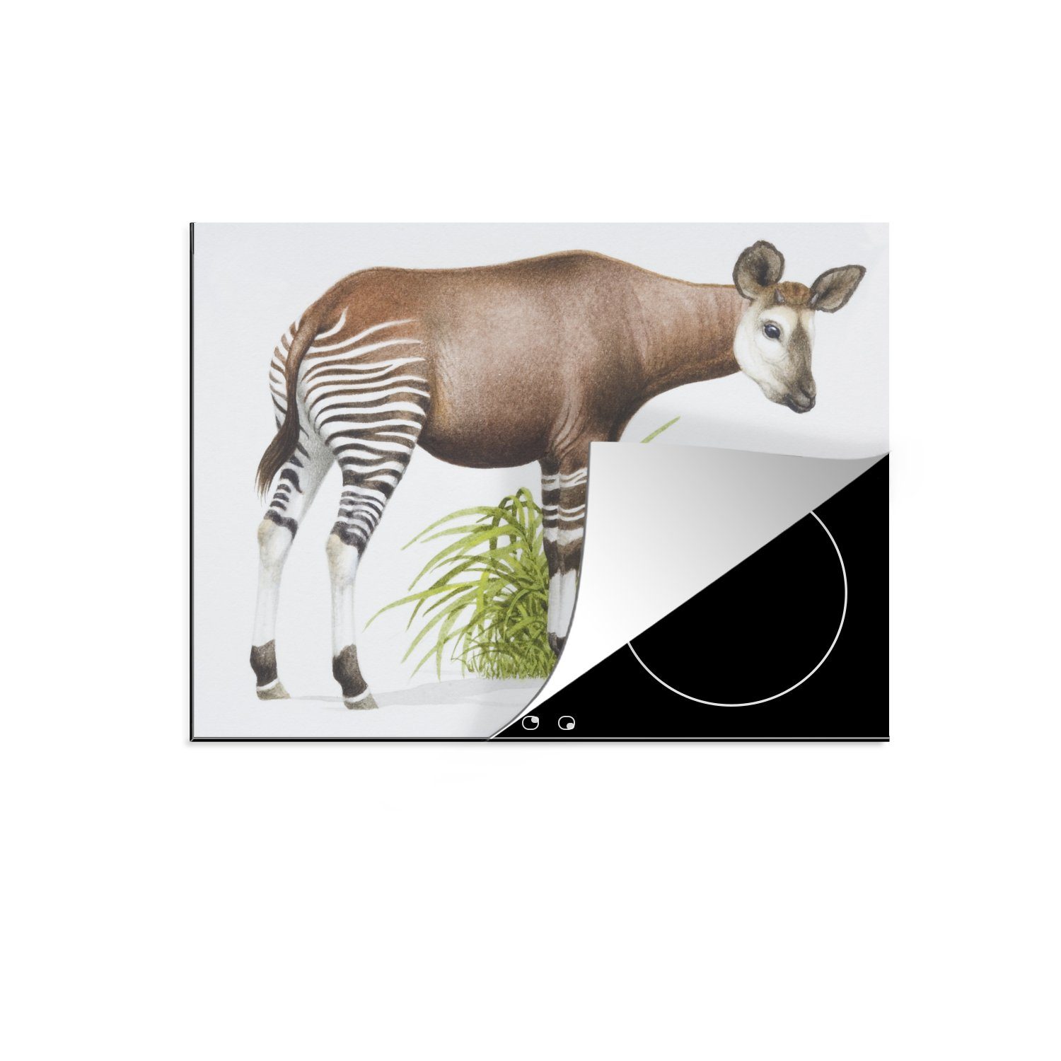 MuchoWow Herdblende-/Abdeckplatte Illustration Ceranfeldabdeckung nutzbar, Arbeitsfläche cm, eines Okapis, Vinyl, tlg), Mobile 70x52 (1