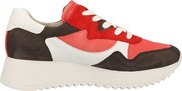 Paul Green SUPER SOFT Sneaker in trendiger Farbkombi, 4949-046