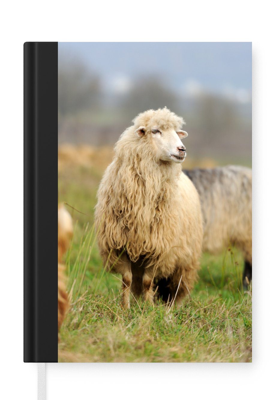 Tagebuch, Wolle Notizheft, A5, Gras, Merkzettel, 98 Seiten, Haushaltsbuch - Notizbuch Schafe Journal, MuchoWow -