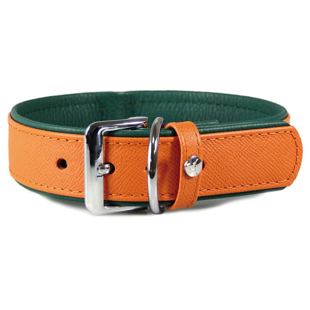 Das Lederband Hunde-Halsband Hundehalsband Firenze orange/forest