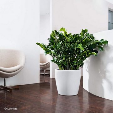 Lechuza® Pflanzkübel Blumentopf Classico Color 35 weiß (Komplettset, 1 St., Pflanzgefäß mit Erdbewässerung), hochwertiger, wetterfester Kunststoff