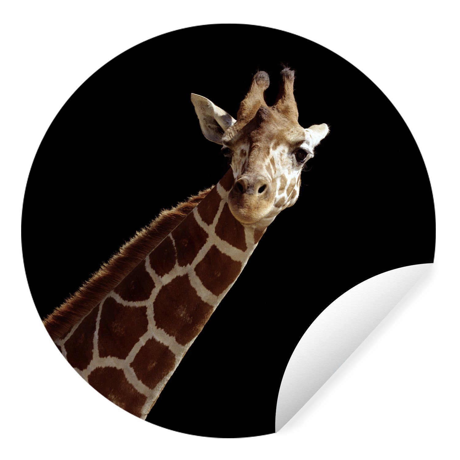 für Giraffe für Wohnzimmer Porträt schwarzen Tapetenaufkleber, Kinderzimmer, St), Tapetenkreis Hintergrund (1 Rund, MuchoWow Wandsticker