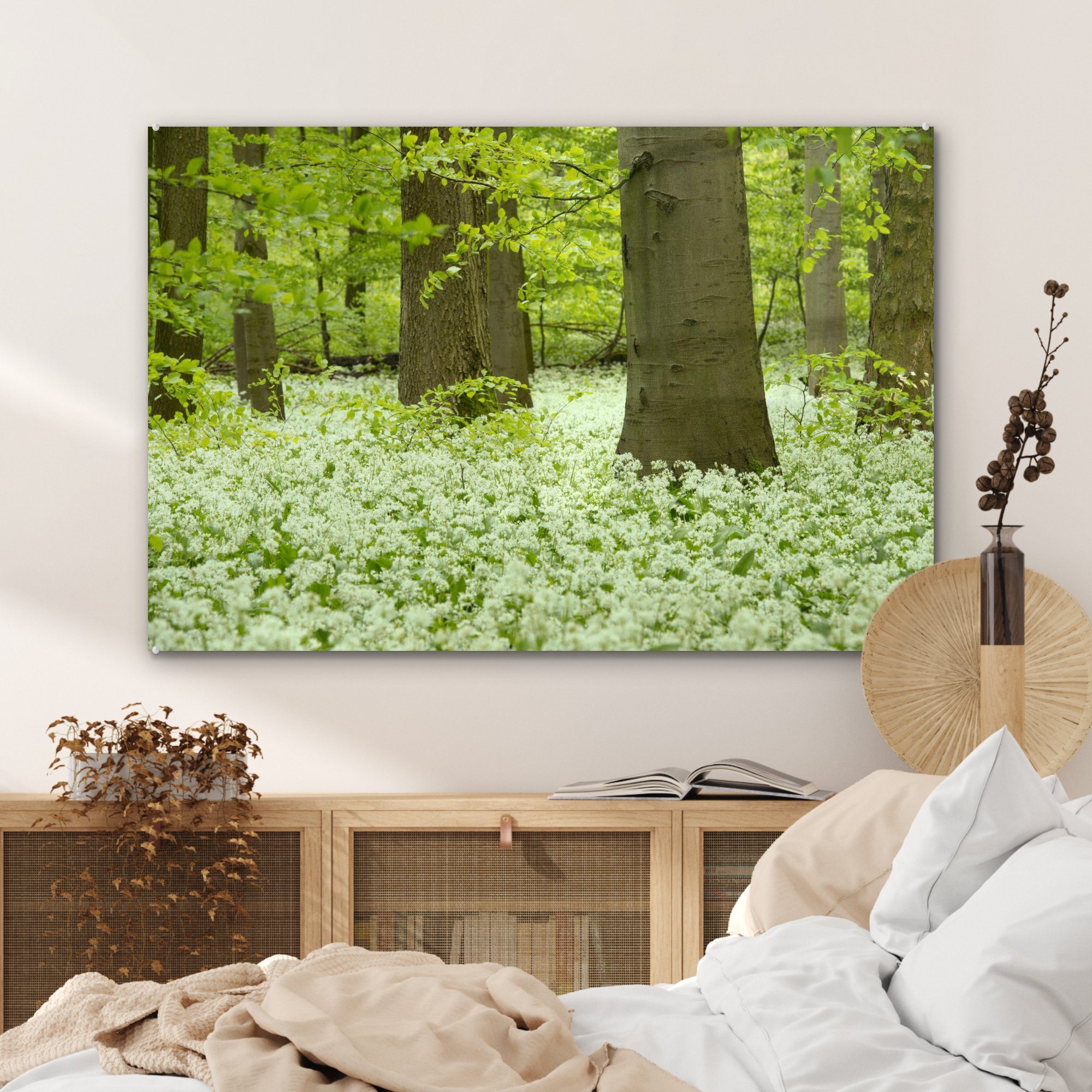 (1 Schlafzimmer Gras Nationalpark grünen & mit Wohnzimmer St), deutsche zwischen Der Acrylglasbilder den, Acrylglasbild MuchoWow Hainich dem