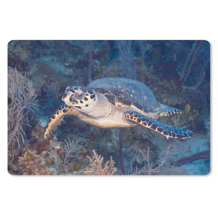 MuchoWow Mauspad Schildkröte schwimmt über einem tropischen Korallenriff im Meer vor (1-St) Gaming Mousepad Büro 27x18 cm Mausunterlage
