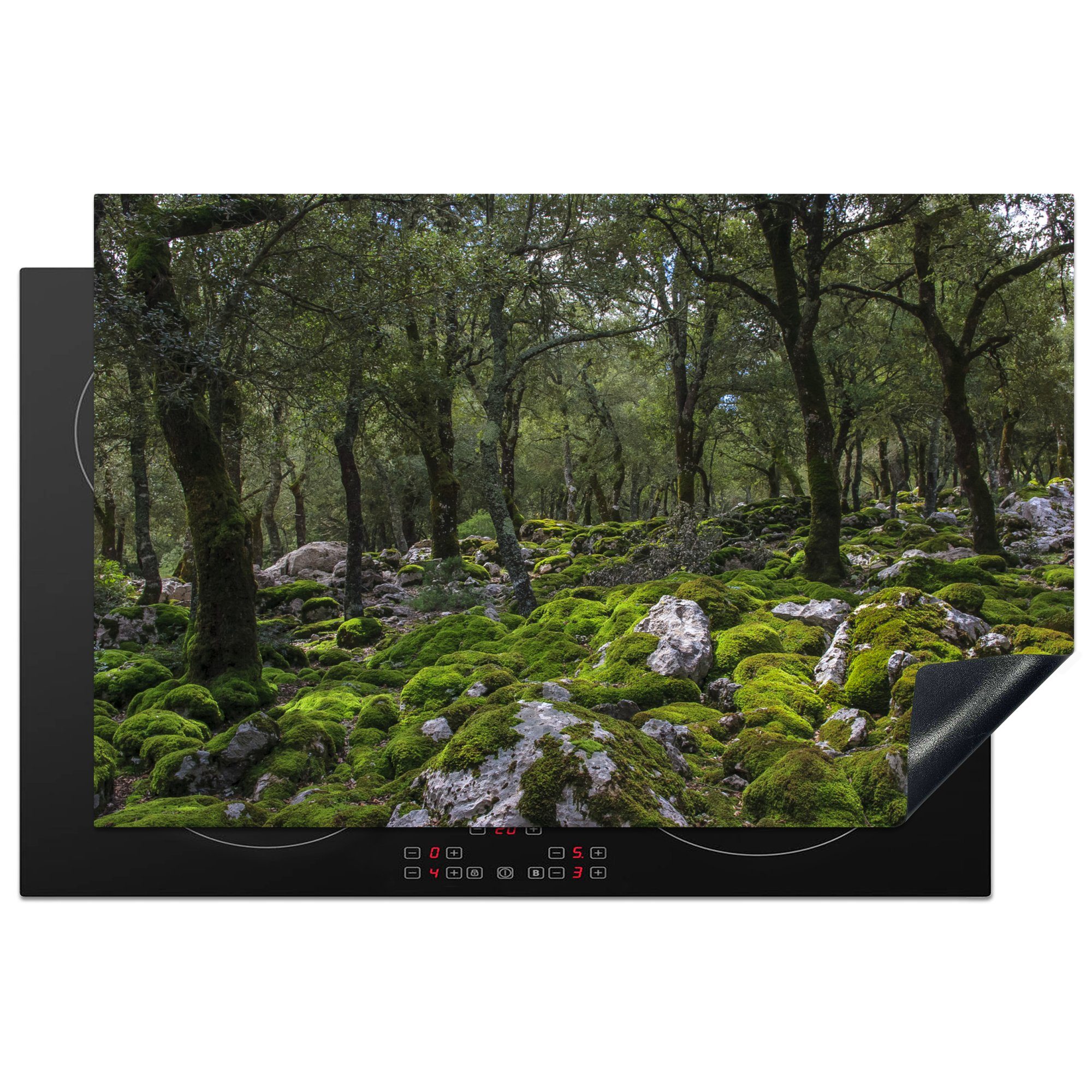 MuchoWow Herdblende-/Abdeckplatte Eichen in einem Wald mit moosbewachsenen Steinen, Vinyl, (1 tlg), 81x52 cm, Induktionskochfeld Schutz für die küche, Ceranfeldabdeckung