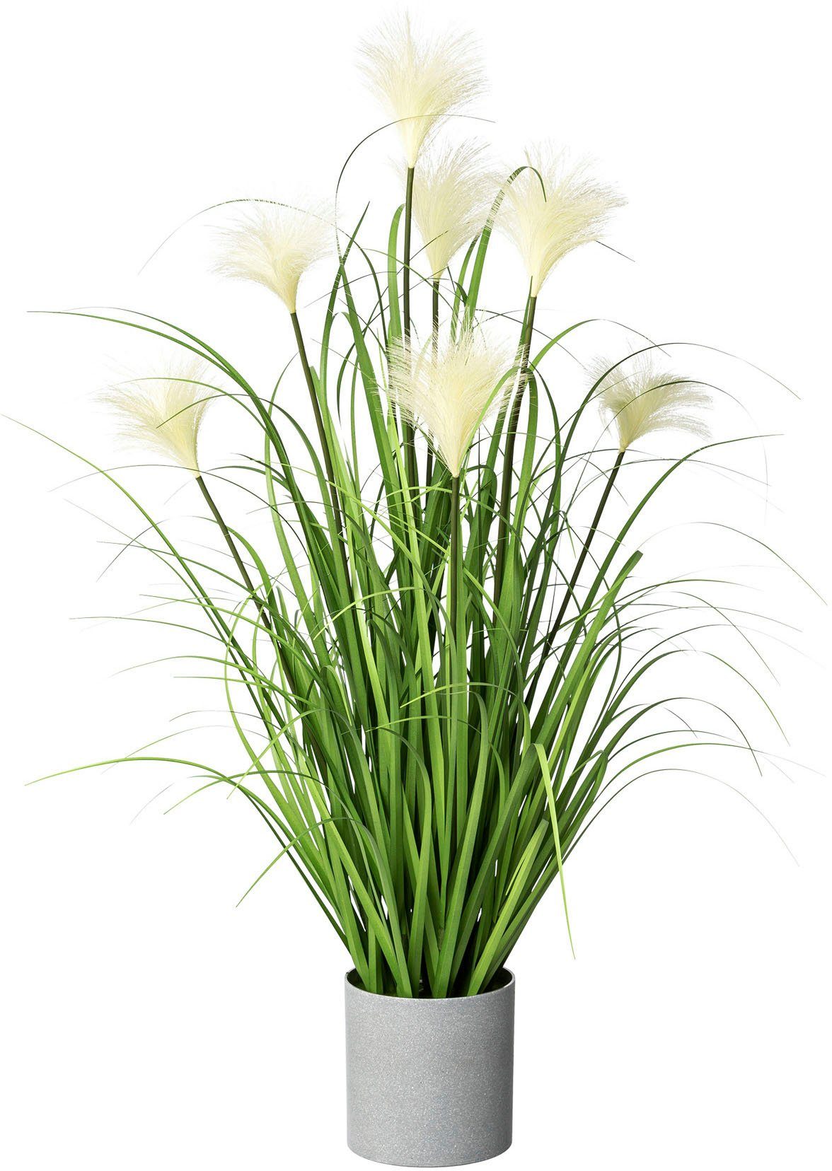 Kunstgras Riedgras, Creativ green, Höhe 76 cm, im grauen Kunststofftopf günstig online kaufen
