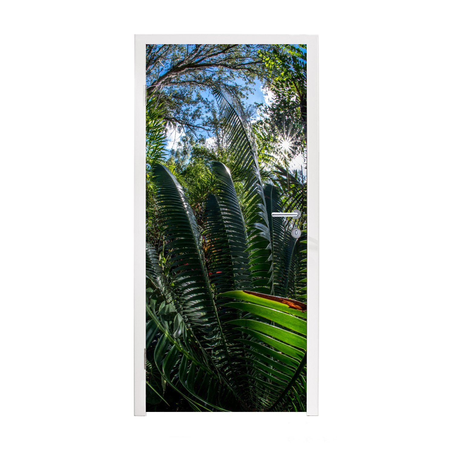 MuchoWow Türtapete Das Laub eines Farns in der Natur, Matt, bedruckt, (1 St), Fototapete für Tür, Türaufkleber, 75x205 cm