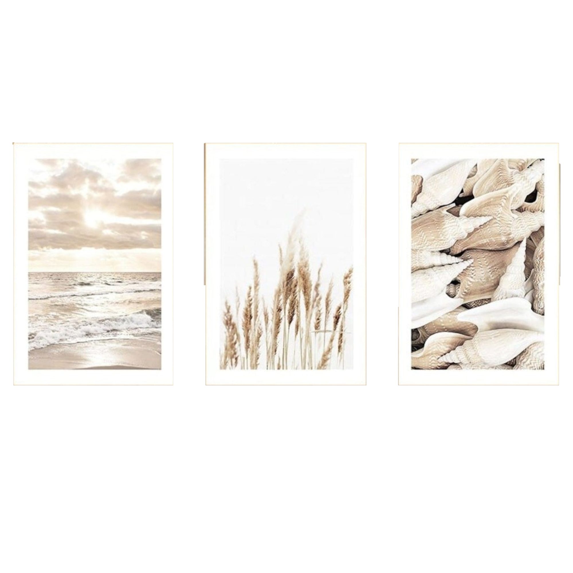 JUSTGOODMOOD Poster Sonnenaufgang am Strand Muscheln und Pampas Gras als Deko Print ohne R, B (1 St)