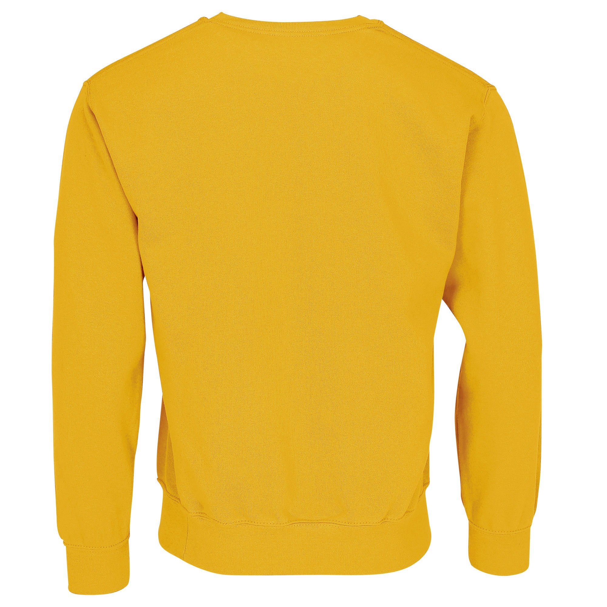 Fruit of the Loom Sweatshirt Sweatshirt mit Vintage-Logo