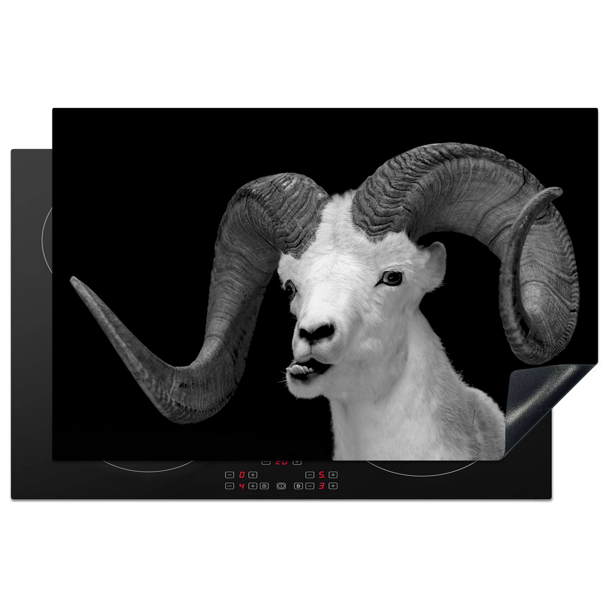 MuchoWow Herdblende-/Abdeckplatte Buck mit großen Hörnern auf schwarzem Hintergrund - schwarz und weiß, Vinyl, (1 tlg), 81x52 cm, Induktionskochfeld Schutz für die küche, Ceranfeldabdeckung