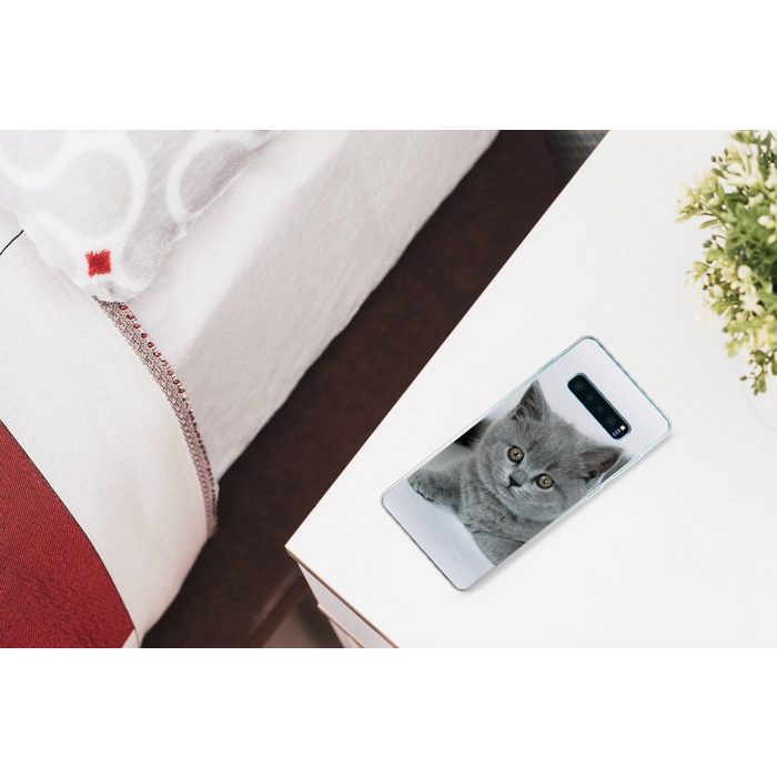 MuchoWow Handyhülle Anzeige eines wunderschönen Britisch-Kurzhaar-Kätzchens Phone Case Handyhülle Samsung Galaxy S10+ Silikon Schutzhülle FN11522