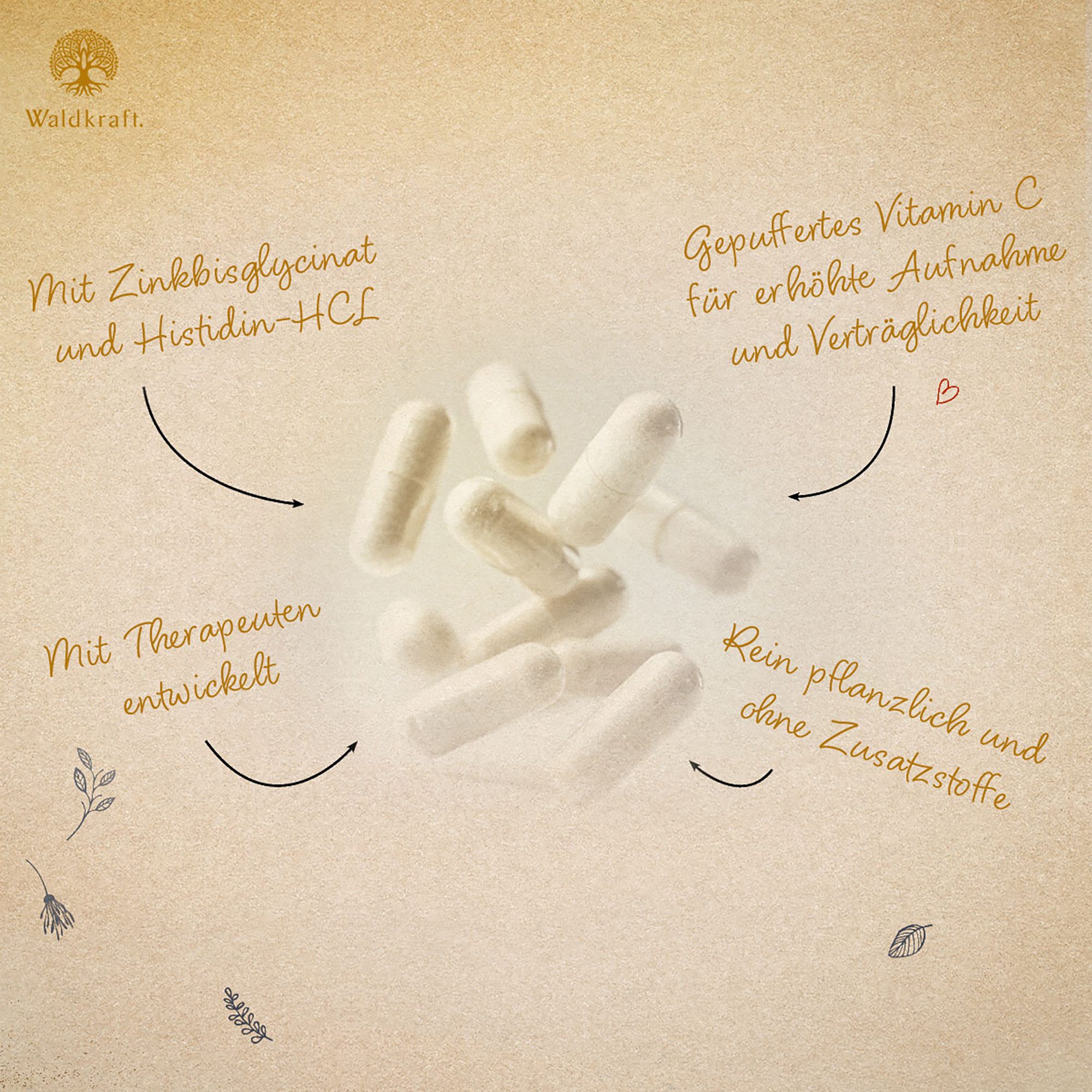 Waldkraft. Erdling Vitamin C Komplex Kapseln, mit Zink & Histidin für schöne Haut & Haare und ein starkes Immunsystem à 120 St., 76,8 g