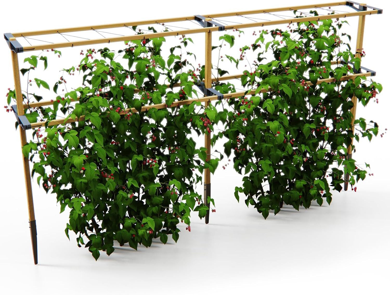 Gusta Garden Rankhilfe BERRY BUDDY, erweiterbares günstig online kaufen
