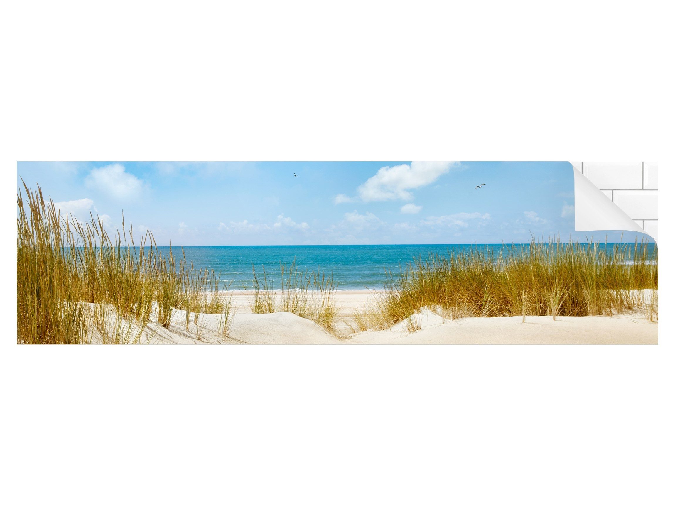 Bilderdepot24 Küchenrückwand beige dekor Natur Strand günstig online kaufen
