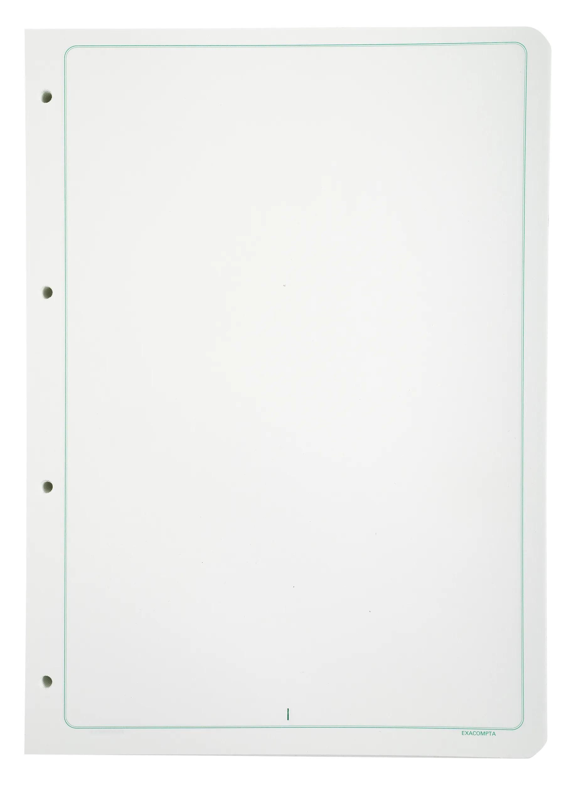 EXACOMPTA Karteikasten 100 Blatt 29.7x21 weiss 4-Fach gelocht - Weiß - 5419E, Geschäftsbücher