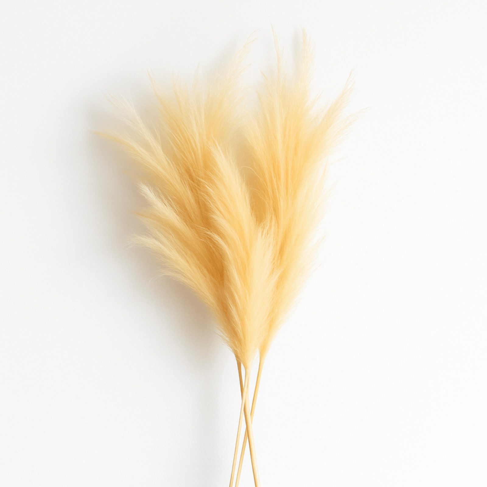 Künstliche Zimmerpflanze Künstliches Pampasgras (100 cm) – 3er Set in Creme - Beige, Layba