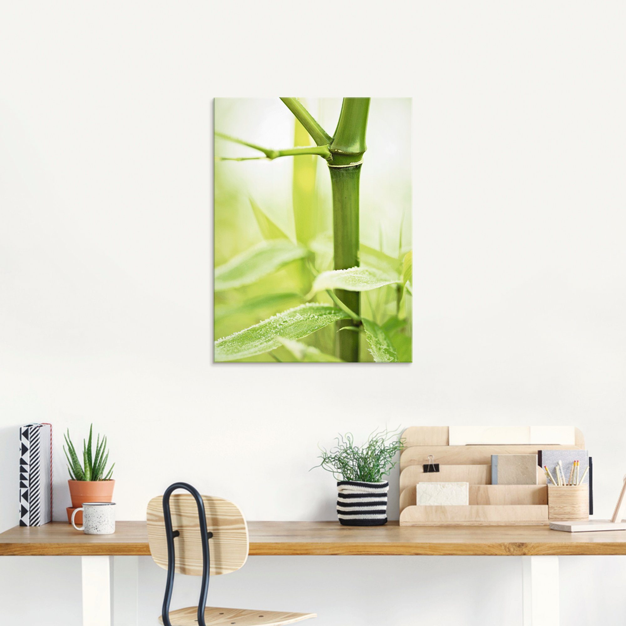 in (1 Bambus Glasbild verschiedenen Zweig, Größen Artland St), Gräser