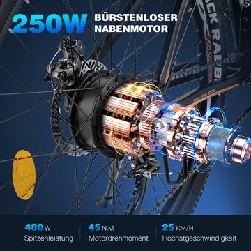 fafrees E-Bike 26 Hailong One 26-Zoll-E-MTB 250-W-Motor 13-Ah-Akku 21-Gang-Stadt, Erhöhter Komfort, CST 26"*2,1, verstellbarer Lenkervorbau