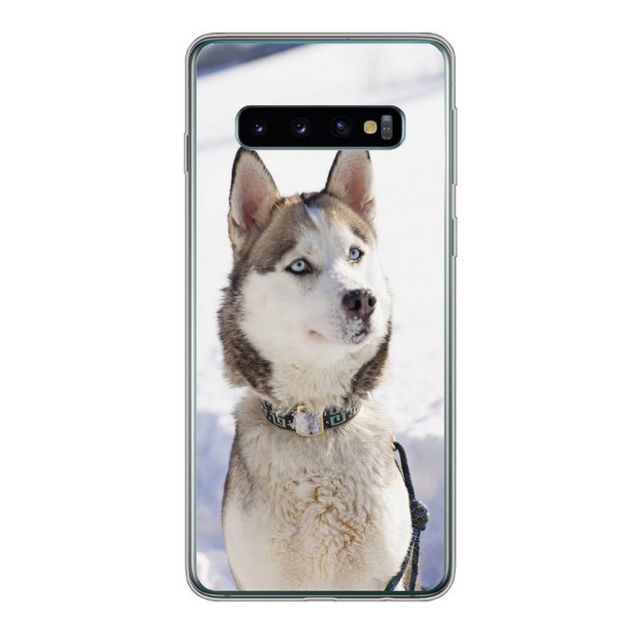MuchoWow Handyhülle Sibirischer Schlittenhund im Schnee Phone Case Handyhülle Samsung Galaxy S10 Silikon Schutzhülle