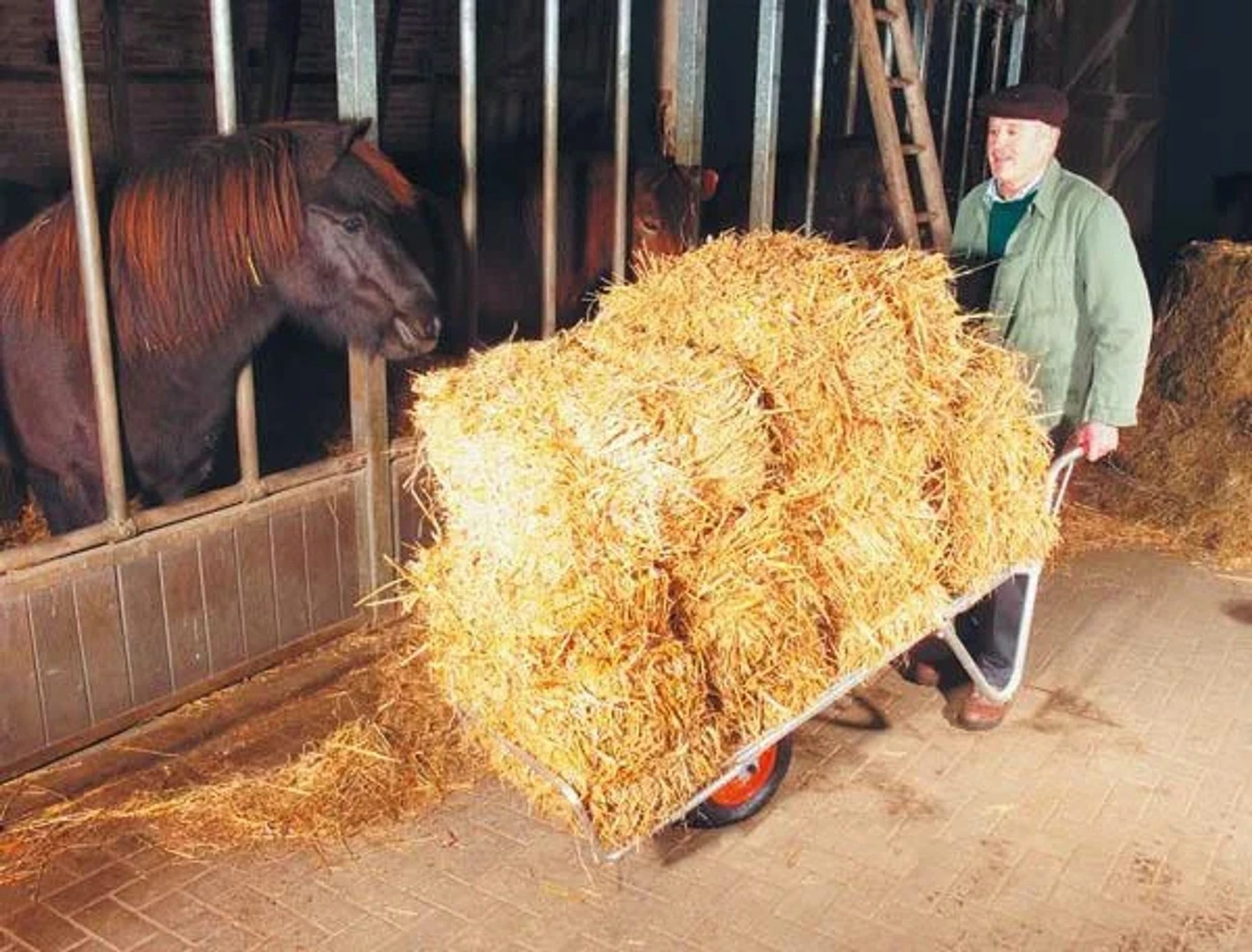 Westfalia Werkzeug Transportkarren Alu Schweizer Karre 100 kg