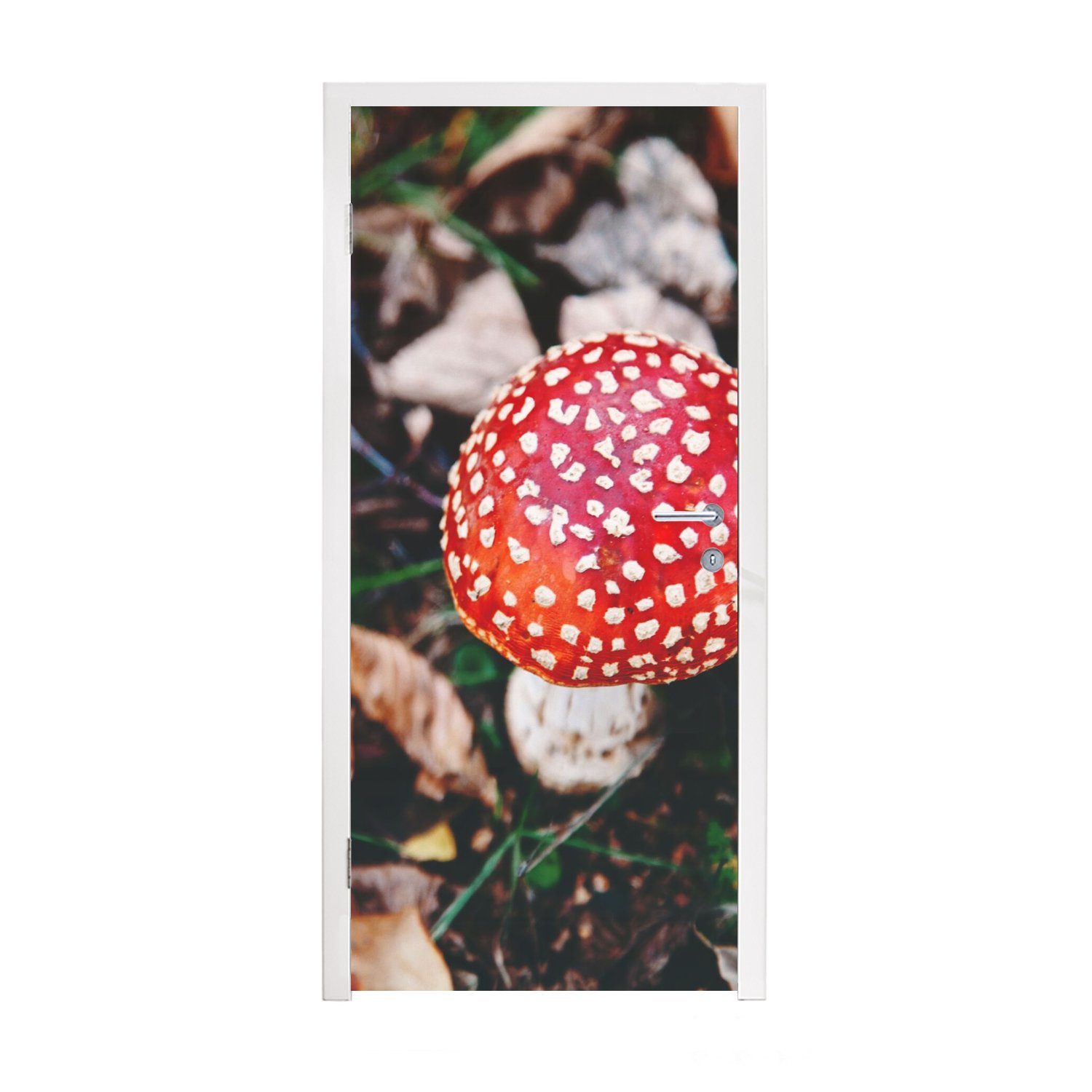 MuchoWow Türtapete Herbst Fototapete cm Matt, - Türaufkleber, Tür, - Natur, St), bedruckt, 75x205 (1 - Blätter Pilz für