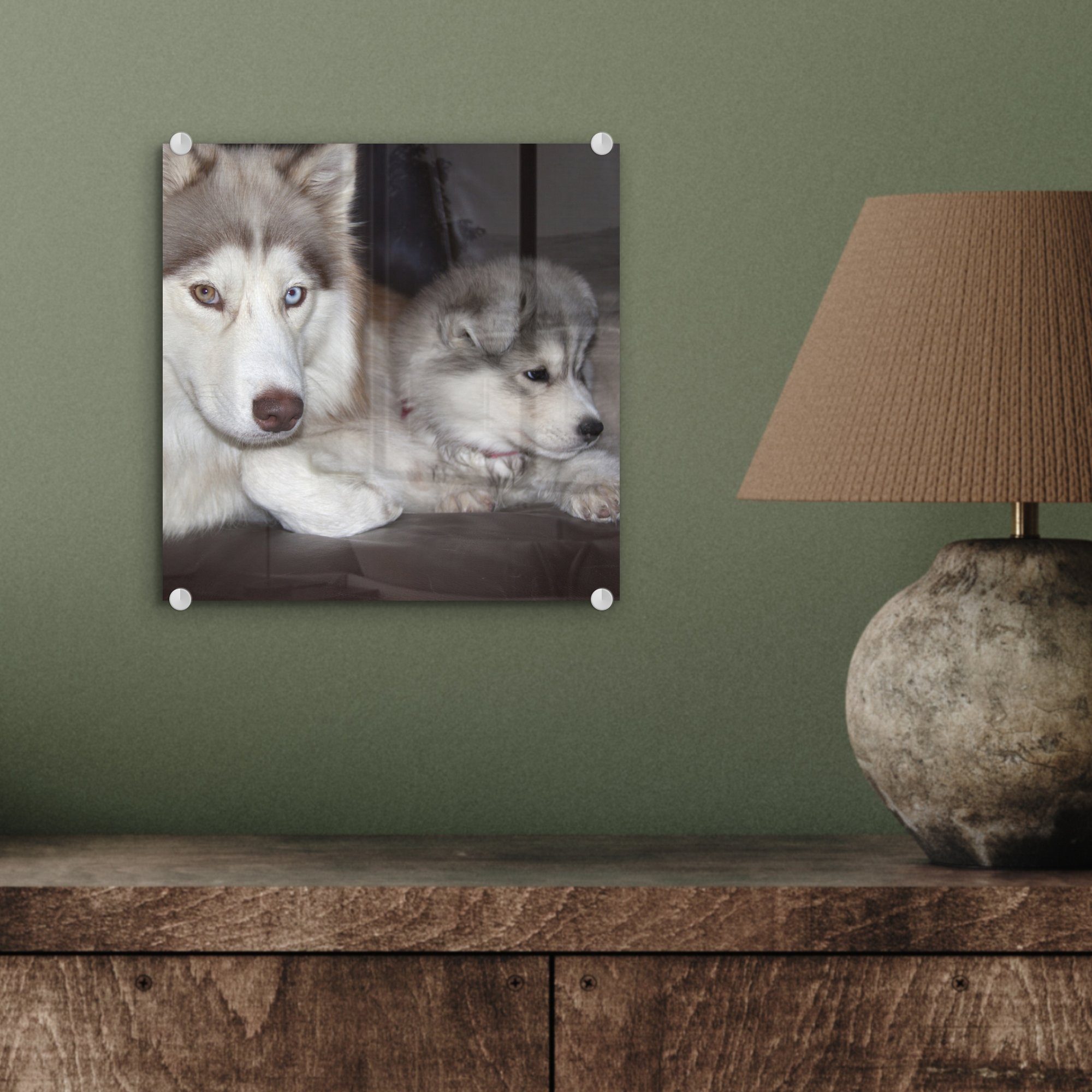 Foto Sofa, dem St), Bilder Glasbilder - Welpen - Wandbild Großer Acrylglasbild MuchoWow auf auf mit auf kleinem (1 Wanddekoration Glas - Hund Glas