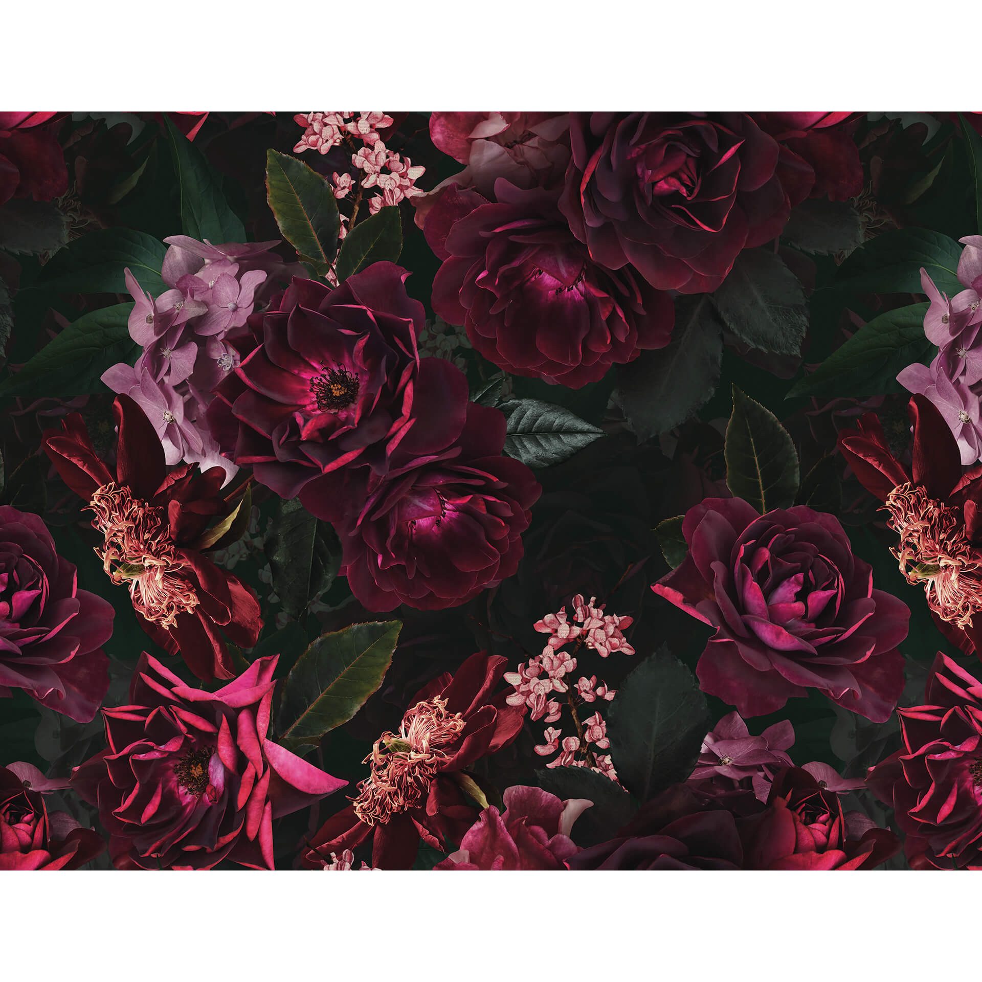 K&L Wall Art Vliestapete XXL Fototapete Natur Blumentapete große Naturtapete, floral, bedruckt, matt