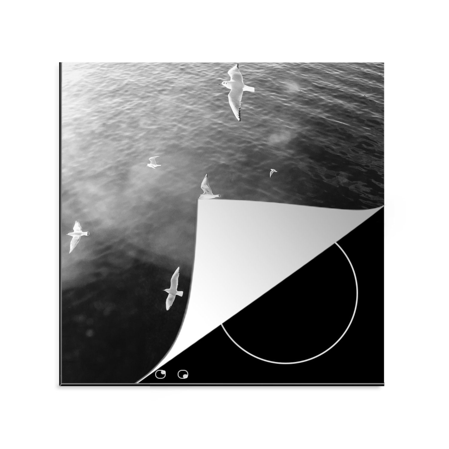 Wattenmeer MuchoWow Weiß Möwe, Schwarz für 78x78 Arbeitsplatte Herdblende-/Abdeckplatte Ceranfeldabdeckung, (1 - Vinyl, tlg), cm, - küche -
