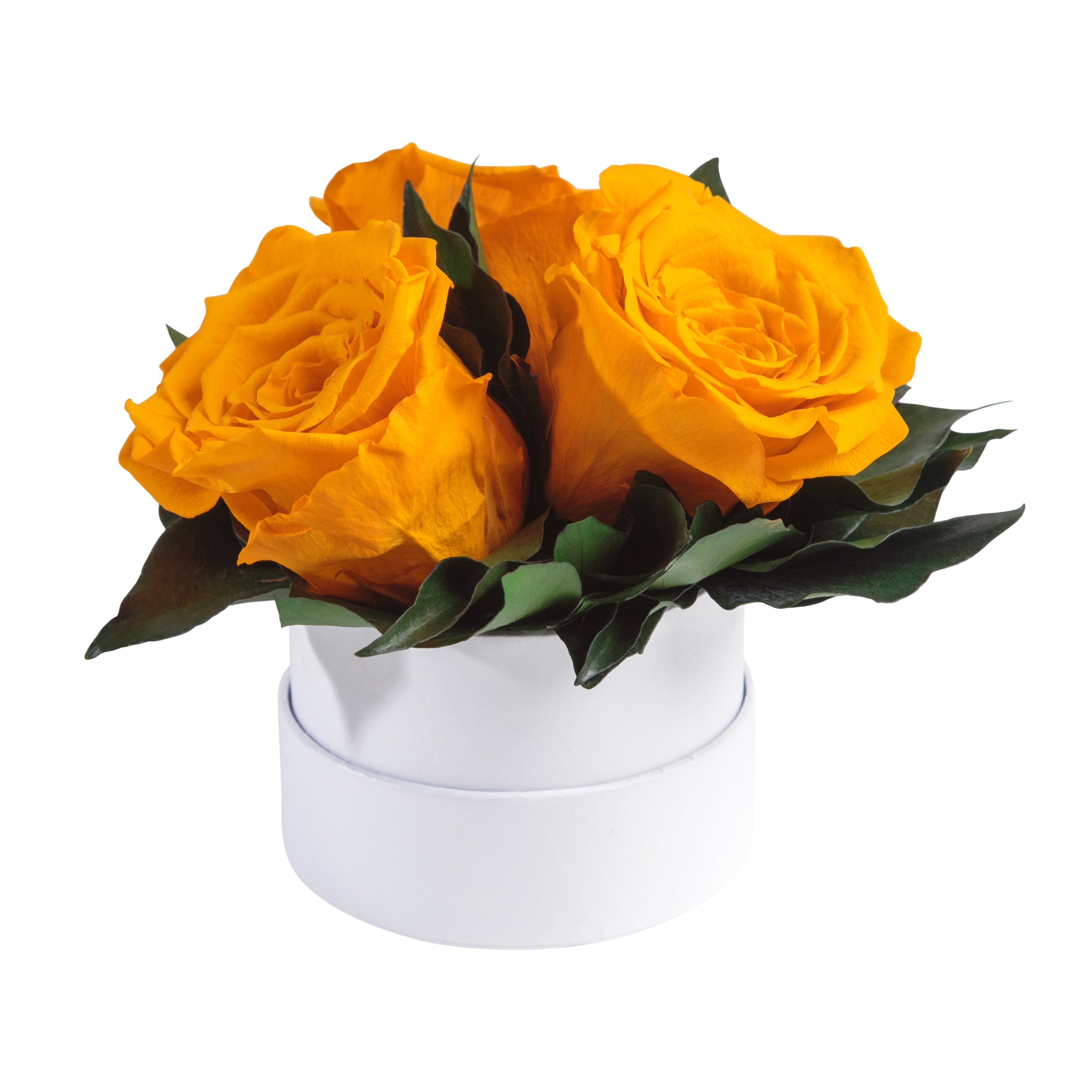 Kunstblume Infinity Rosenbox weiß rund 3 günstig online kaufen