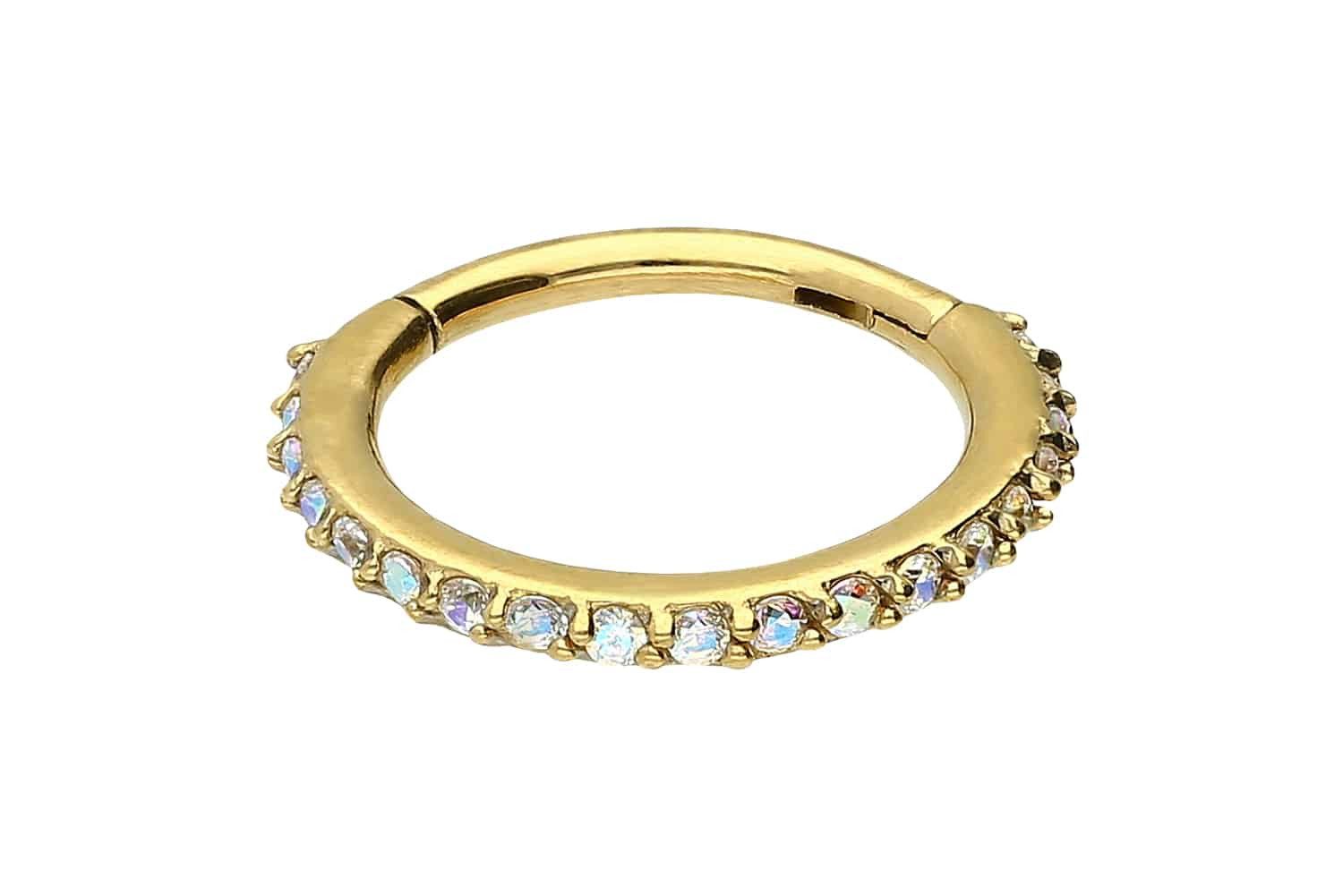 PIERCINGLINE Piercing-Set Chirurgenstahl Segmentring Clicker EINGEFASSTE günstig online kaufen