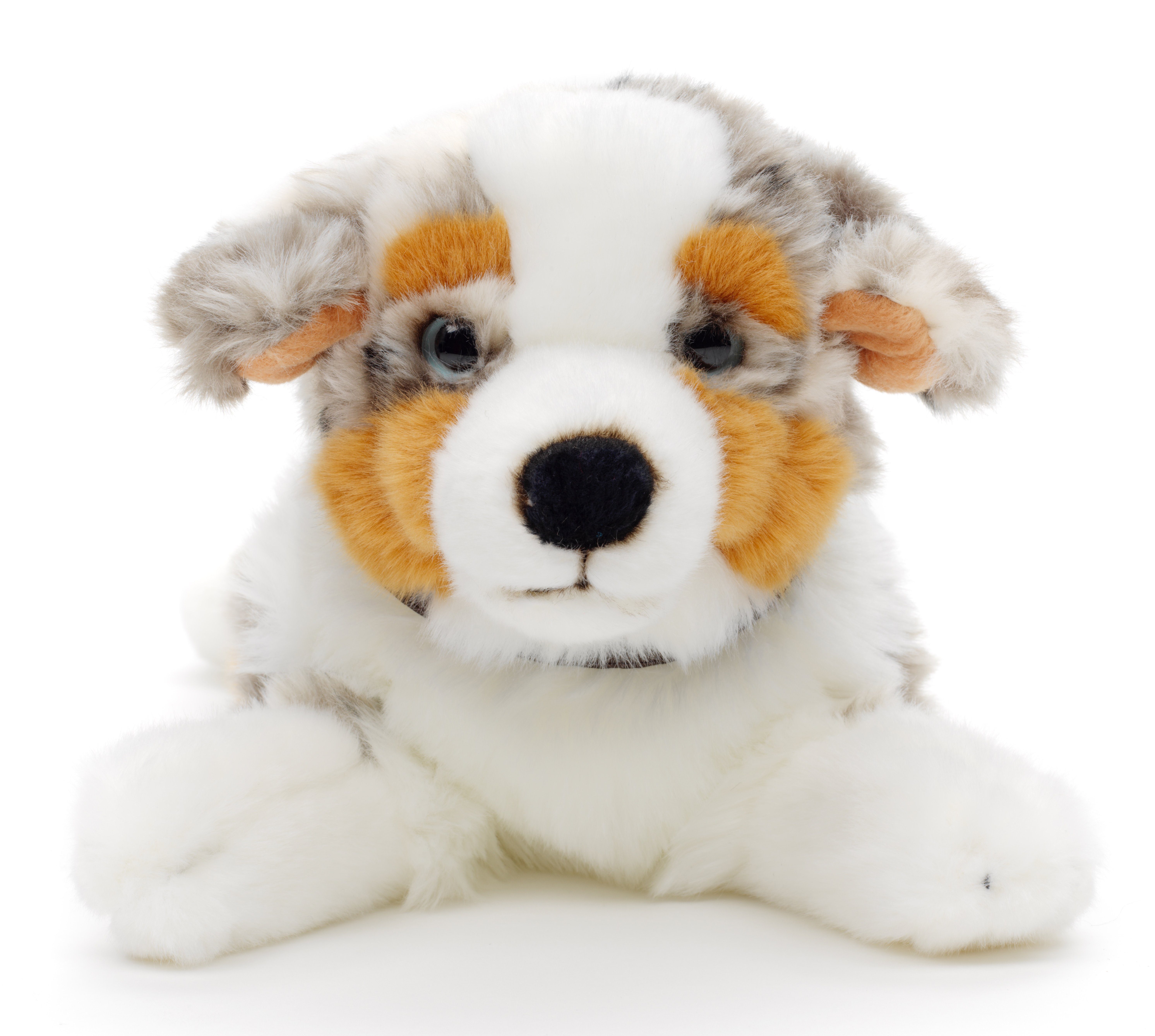 Kuscheltier Australischer Schäferhund m.Halsband - 40 cm - Plüsch-Hund, Plüschtier