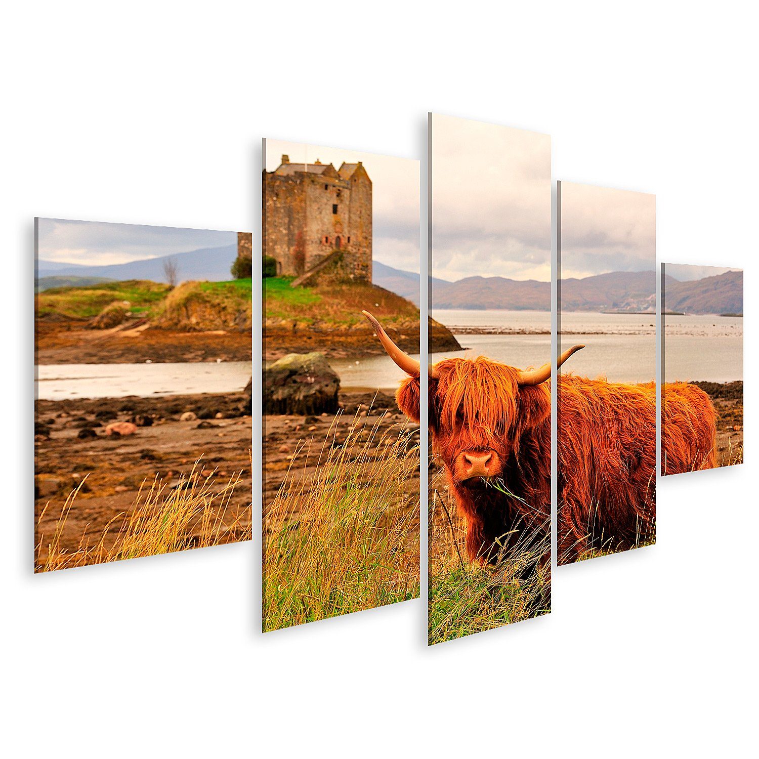 Leinwandbild Bild auf Leinwand Hochlandkuh Loch Linnhe Schottland Wandbild Poster K
