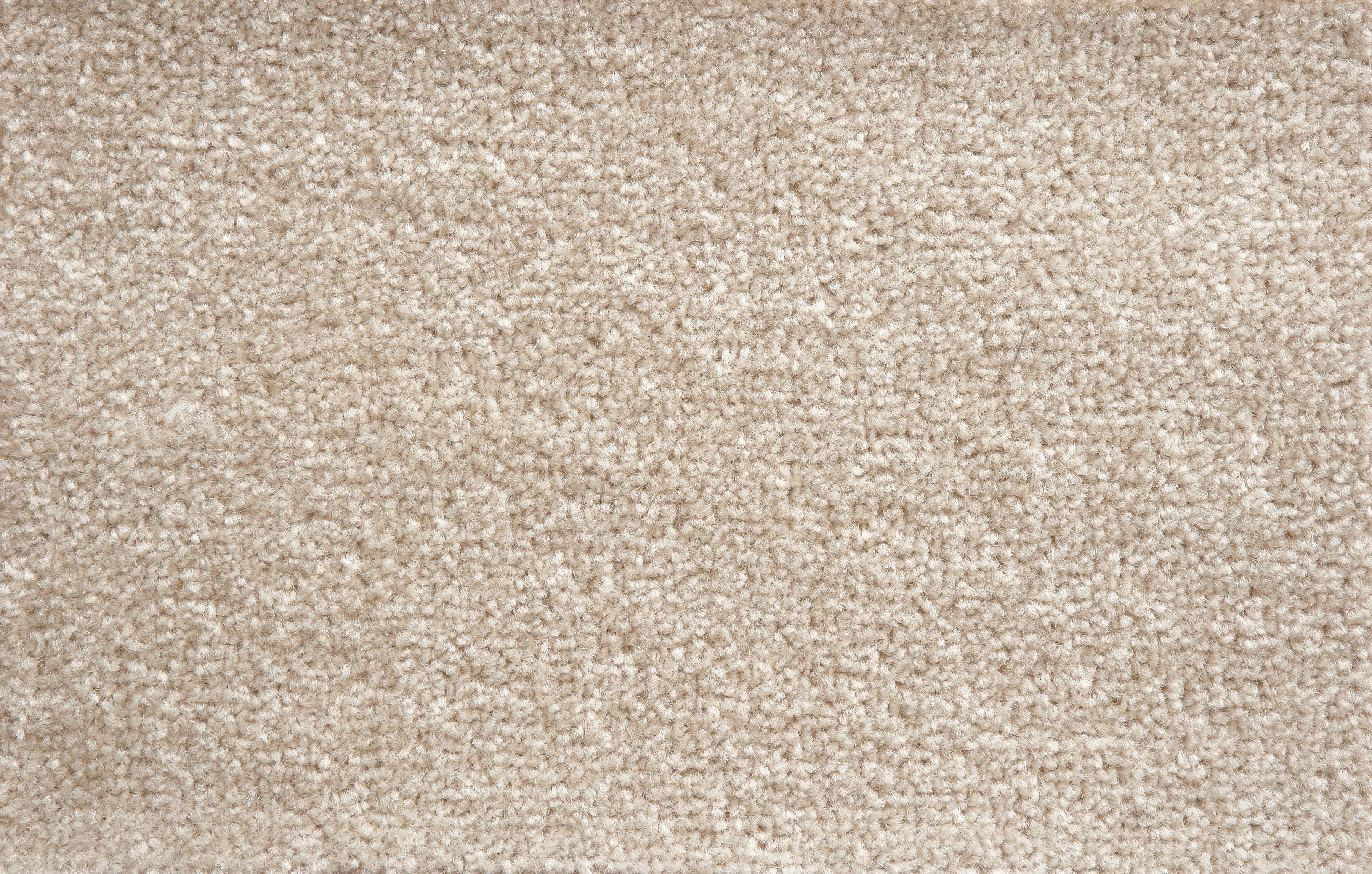 Teppichboden »Ines«, Andiamo, rechteckig, Höhe 8 mm, Meterware, Breite 400  cm, antistatisch, schallschluckend online kaufen | OTTO