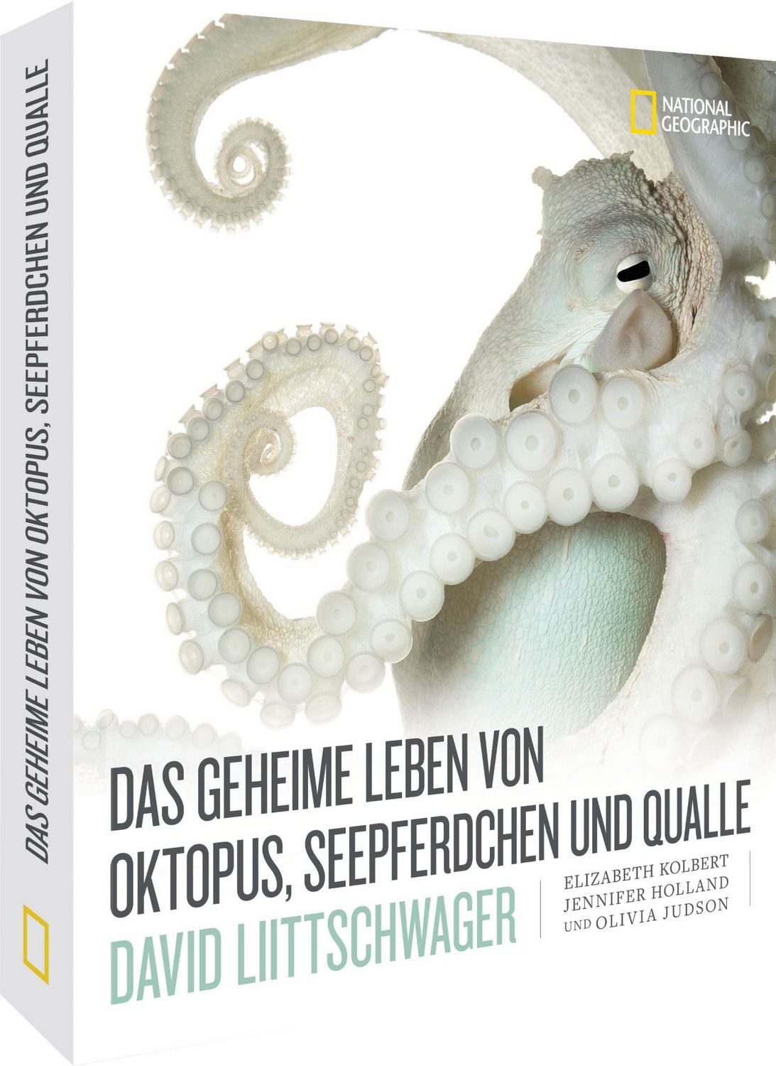 Das geheime Leben von Oktopus, Seepferdchen und Qualle / David Liittschwager, Elizabeth Kolbert, Jennifer Holland, Olivia Judson