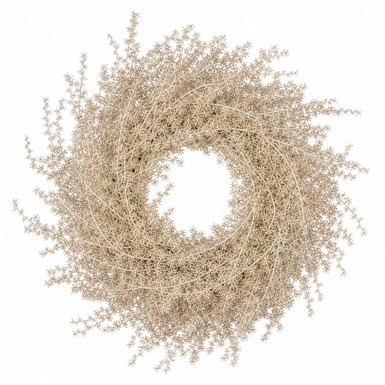 finehomegarden Dekokranz Asparagus Kranz Ø35cm Platin Herbstkranz Türkranz Herbst Deko, Naturmaterial Türkranz, Wandkranz & Tischdeko – Herbstliche Dekoration