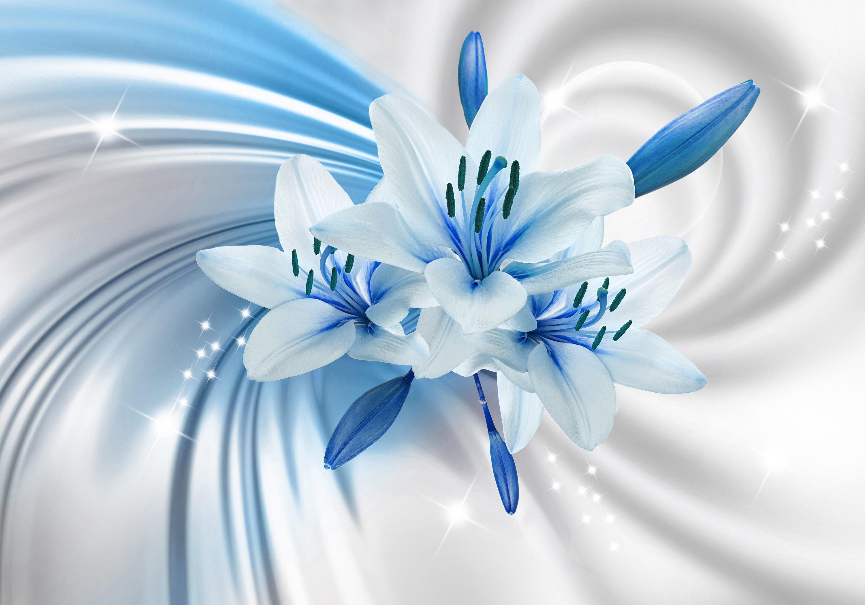 wandmotiv24 Fototapete Hell blau Lilien Blüten, glatt, Wandtapete, Motivtapete, matt, Vliestapete