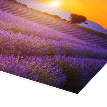 Posterlounge Poster Editors Choice, Sonne über dem Lavendel, Mediterran Fotografie