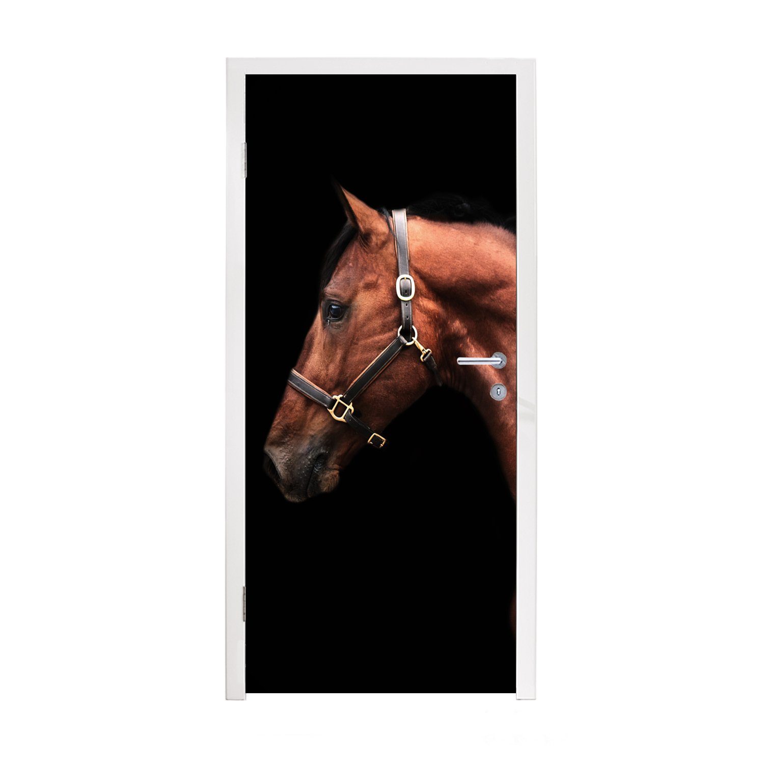 MuchoWow Türtapete Pferd - Leicht - Halfter, Matt, bedruckt, (1 St), Fototapete für Tür, Türaufkleber, 75x205 cm
