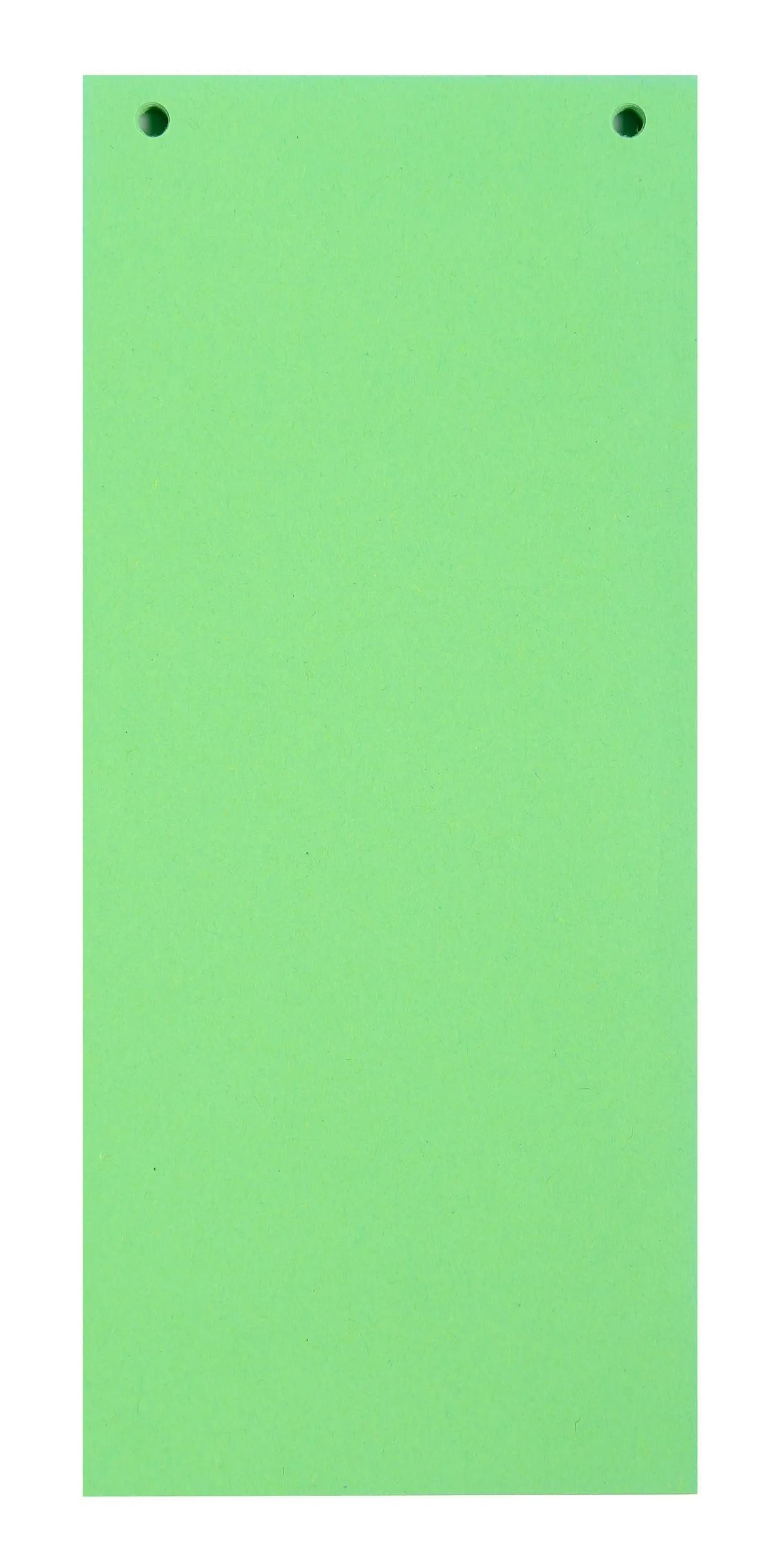 EXACOMPTA Aktenordner 12x 100 Trennstreifen 2-fach gelocht RC Kart 105x240mm Grün 13445B, Karton recycling Register