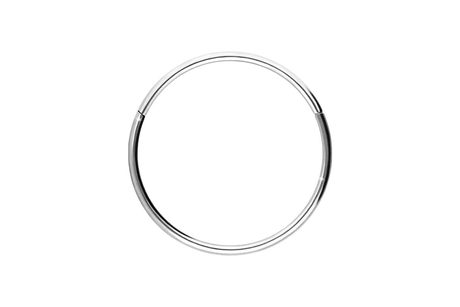 PIERCINGLINE Nasenpiercing Titan Segmentring Clicker Ohrpiercing günstig online kaufen