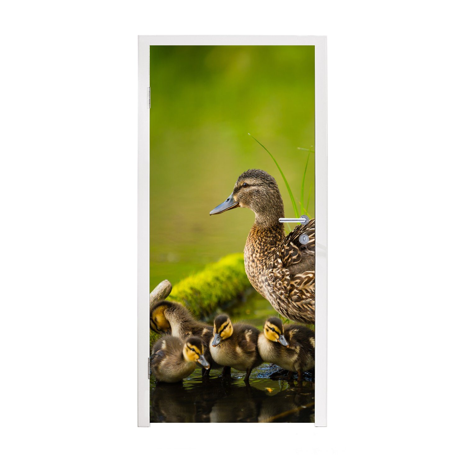 MuchoWow Türtapete Ente - - Moos, (1 Tür, Matt, Zweig für Fototapete bedruckt, Wasser 75x205 St), Vögel - - cm Türaufkleber