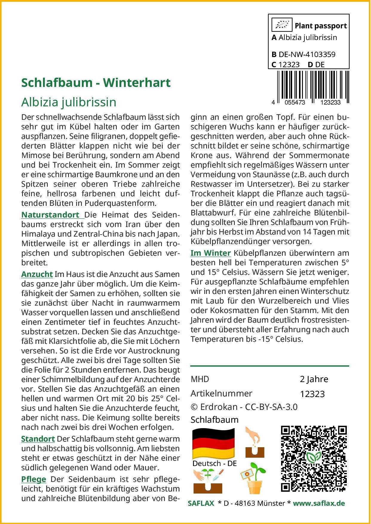 SAFLAX Blumensamen SAFLAX - - Schlafbaum günstig online kaufen
