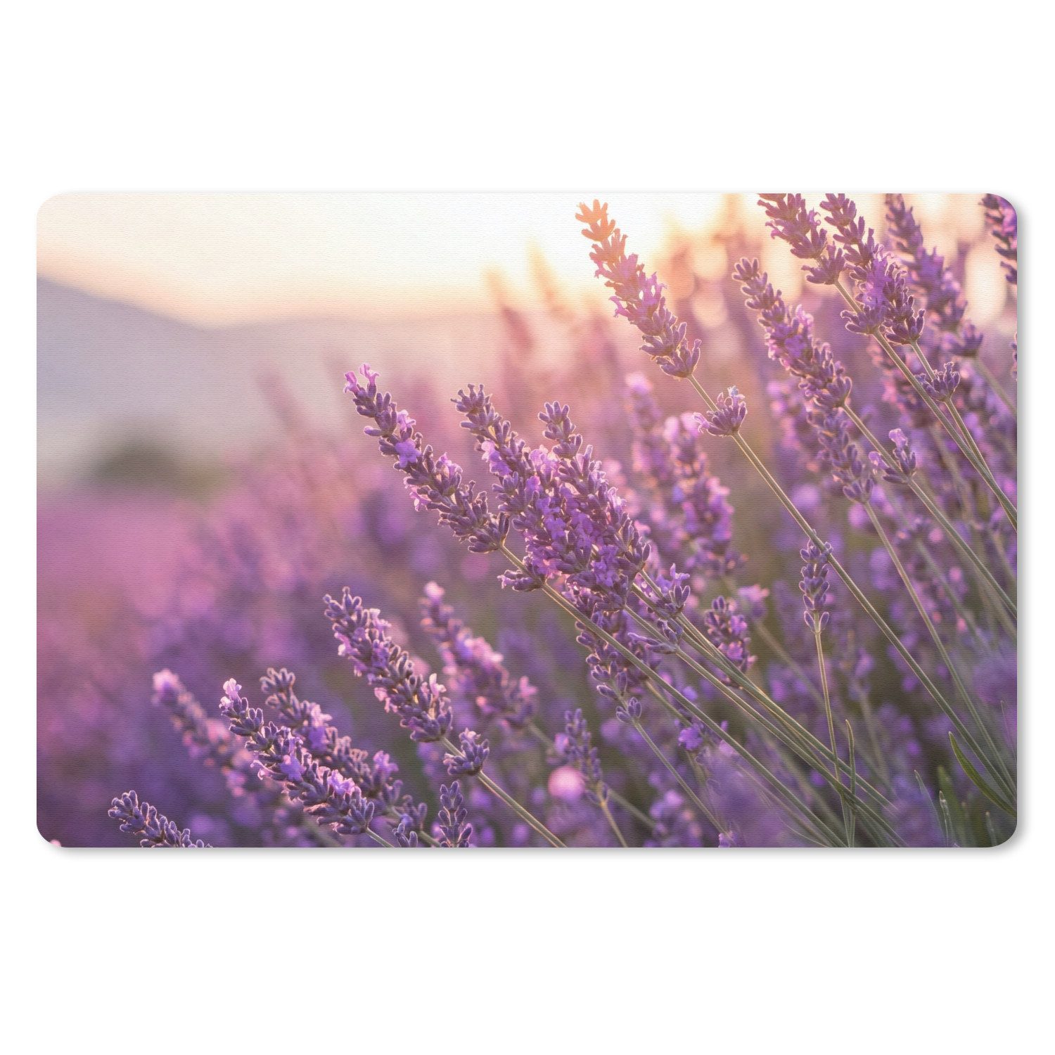 MuchoWow Mauspad Lavendel - Lila - Sonnenlicht (1-St), Mouse pad Klein, Gaming Deko, PC Zubehör, 13x8 cm