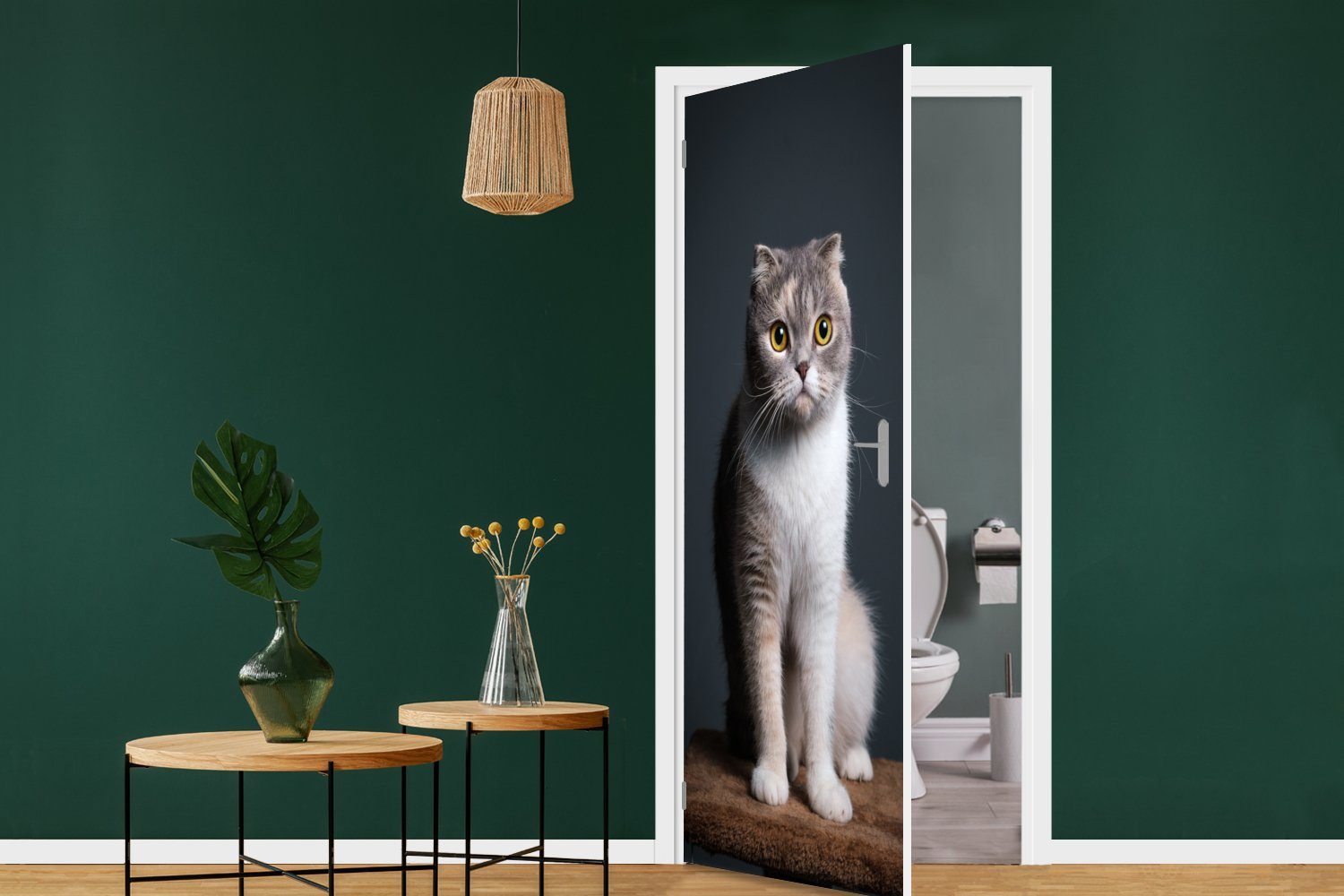 MuchoWow Türtapete Haustiere Tür, Fototapete 75x205 St), - cm Matt, Licht, für (1 Türaufkleber, Katze - bedruckt