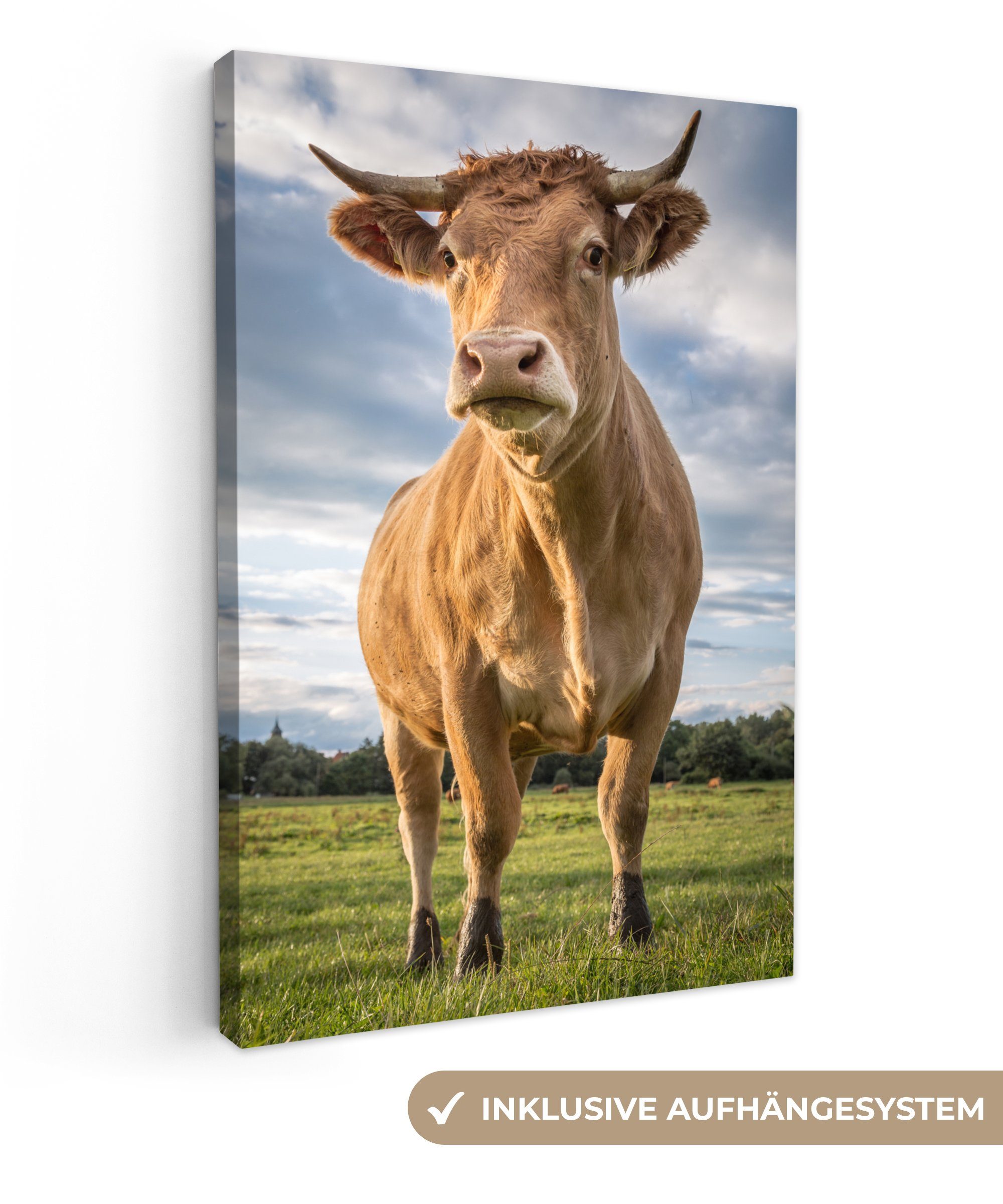 OneMillionCanvasses® inkl. (1 bunt Braun bespannt Kuh Natur, Zackenaufhänger, - St), Leinwandbild Leinwandbild Gemälde, - cm 20x30 fertig