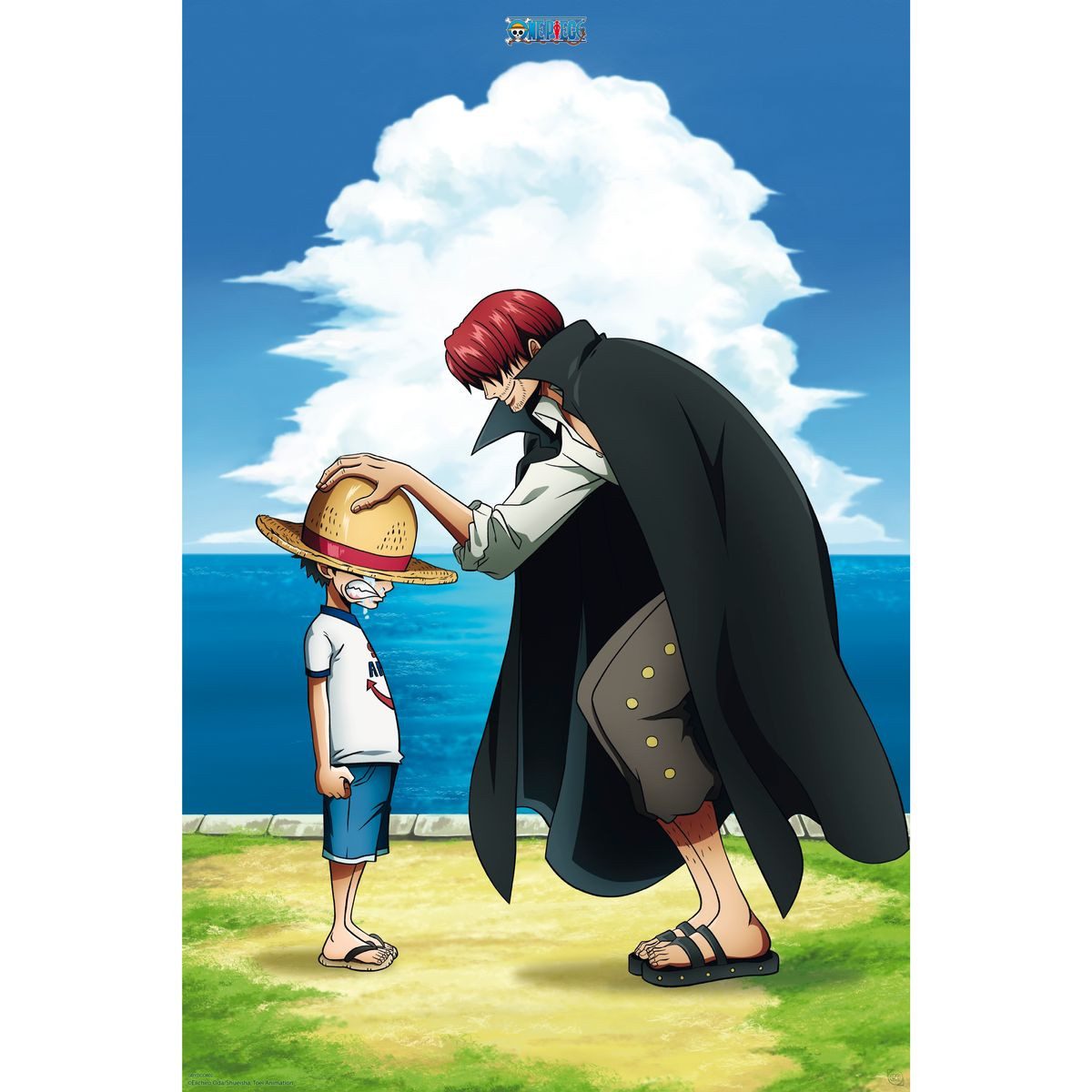 One Piece Anime Poster