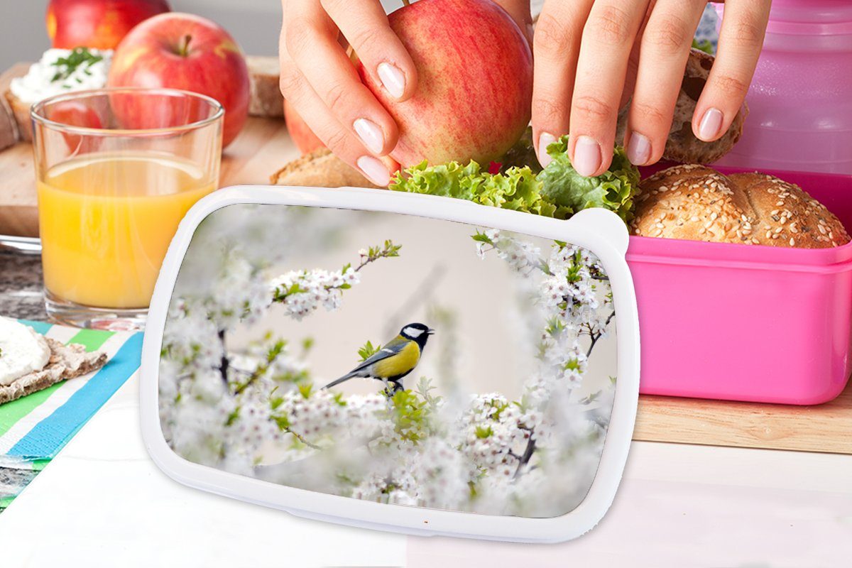 Snackbox, Lunchbox Kunststoff Brotdose (2-tlg), Vogel Blumen Mädchen, - Erwachsene, Kinder, Brotbox für Kunststoff, - rosa - Kohlmeise MuchoWow Blütenbaum,